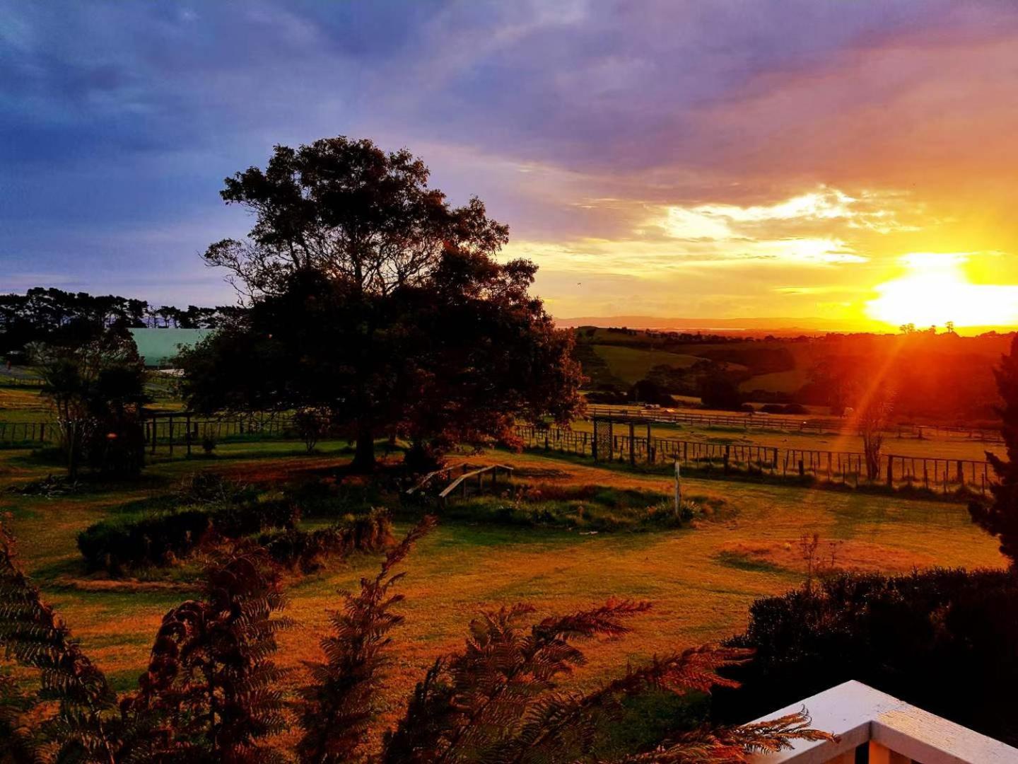 Holiday House In Totara Park Оукланд Екстериор снимка